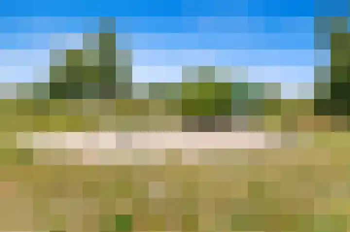 Rodelaan 5 Voorburg thumbnail 50