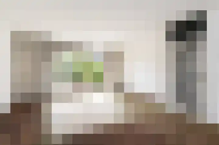 Rodelaan 55 Voorburg thumbnail 10