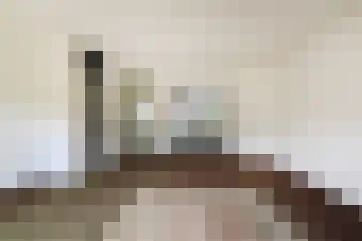Rodelaan 55 Voorburg thumbnail 11