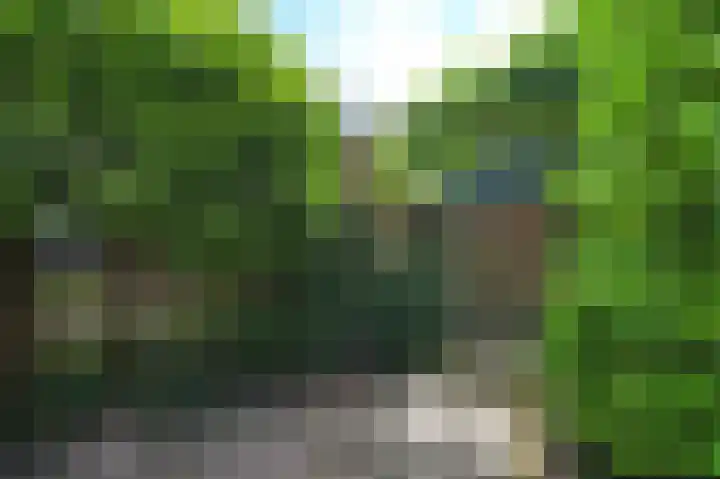 Rodelaan 55 Voorburg thumbnail 13