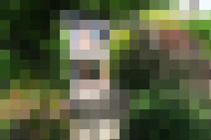 Rodelaan 55 Voorburg thumbnail 15