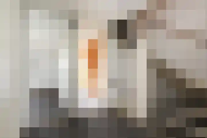 Rodelaan 55 Voorburg thumbnail 19