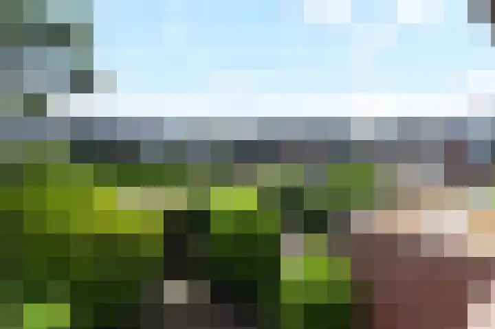 Rodelaan 55 Voorburg thumbnail 23