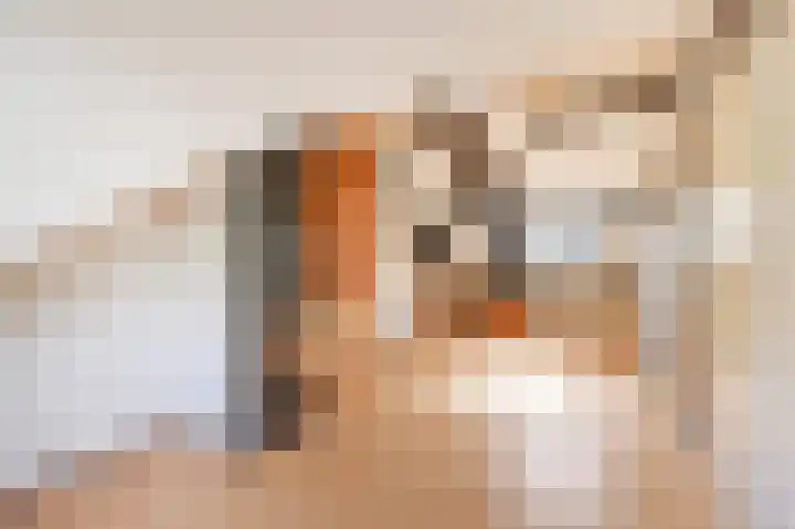 Rodelaan 55 Voorburg thumbnail 31