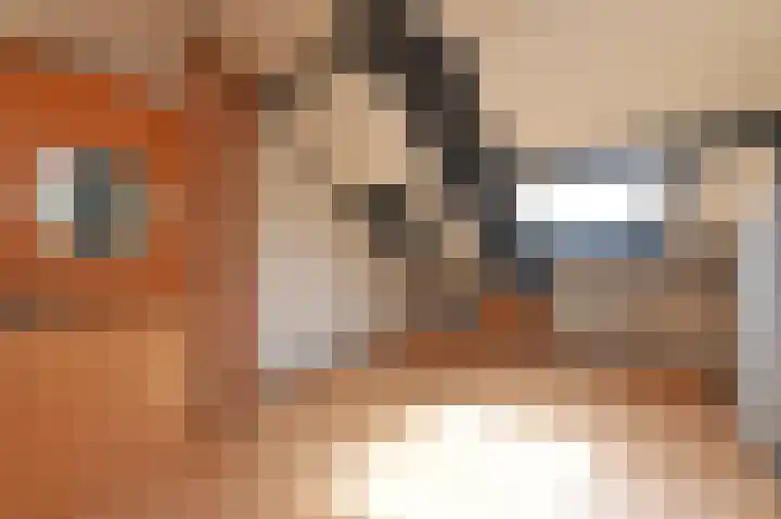 Rodelaan 55 Voorburg thumbnail 32