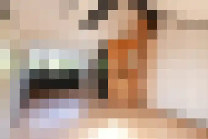 Rodelaan 55 Voorburg thumbnail 33