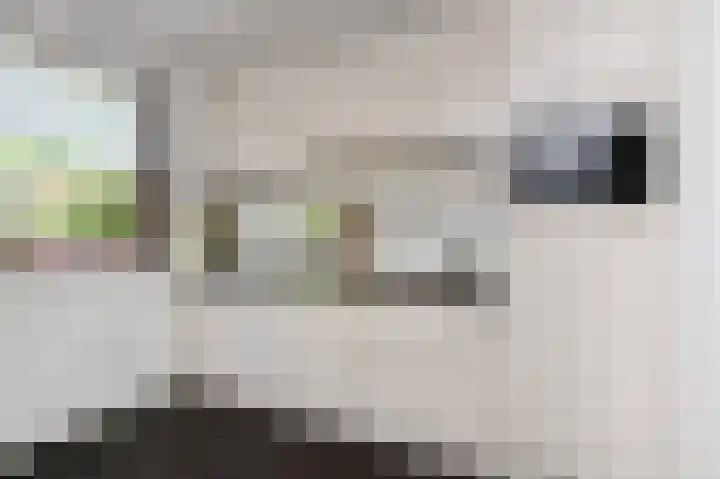 Rodelaan 55 Voorburg thumbnail 8