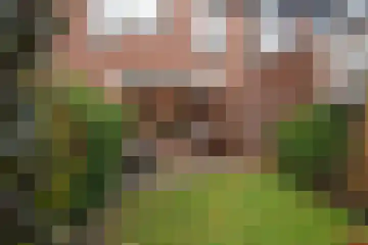 Rodelaan 87 Voorburg thumbnail 32