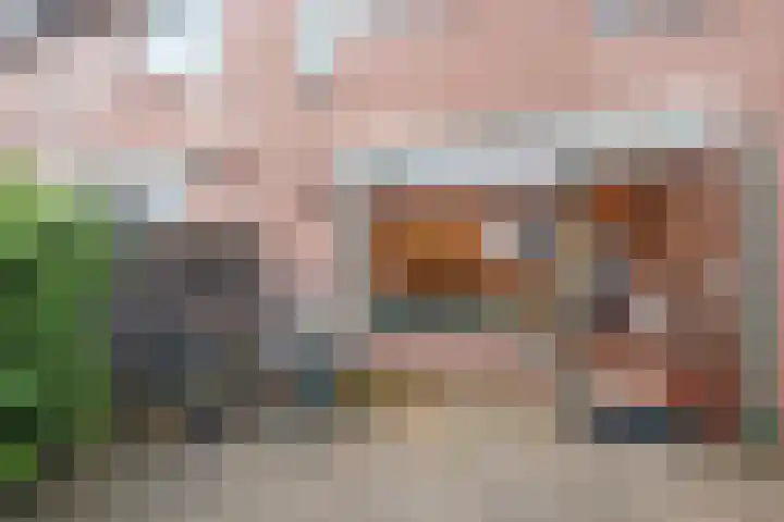 Rodelaan 87 Voorburg thumbnail 33