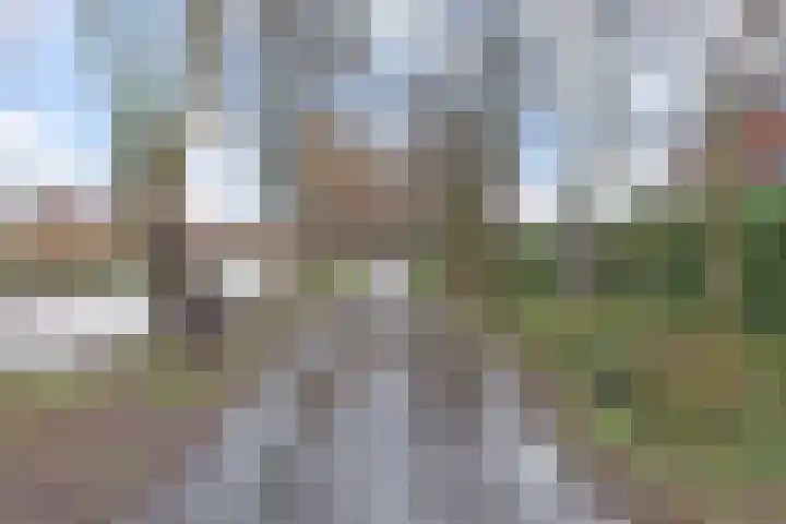 Rodelaan 87 Voorburg thumbnail 54