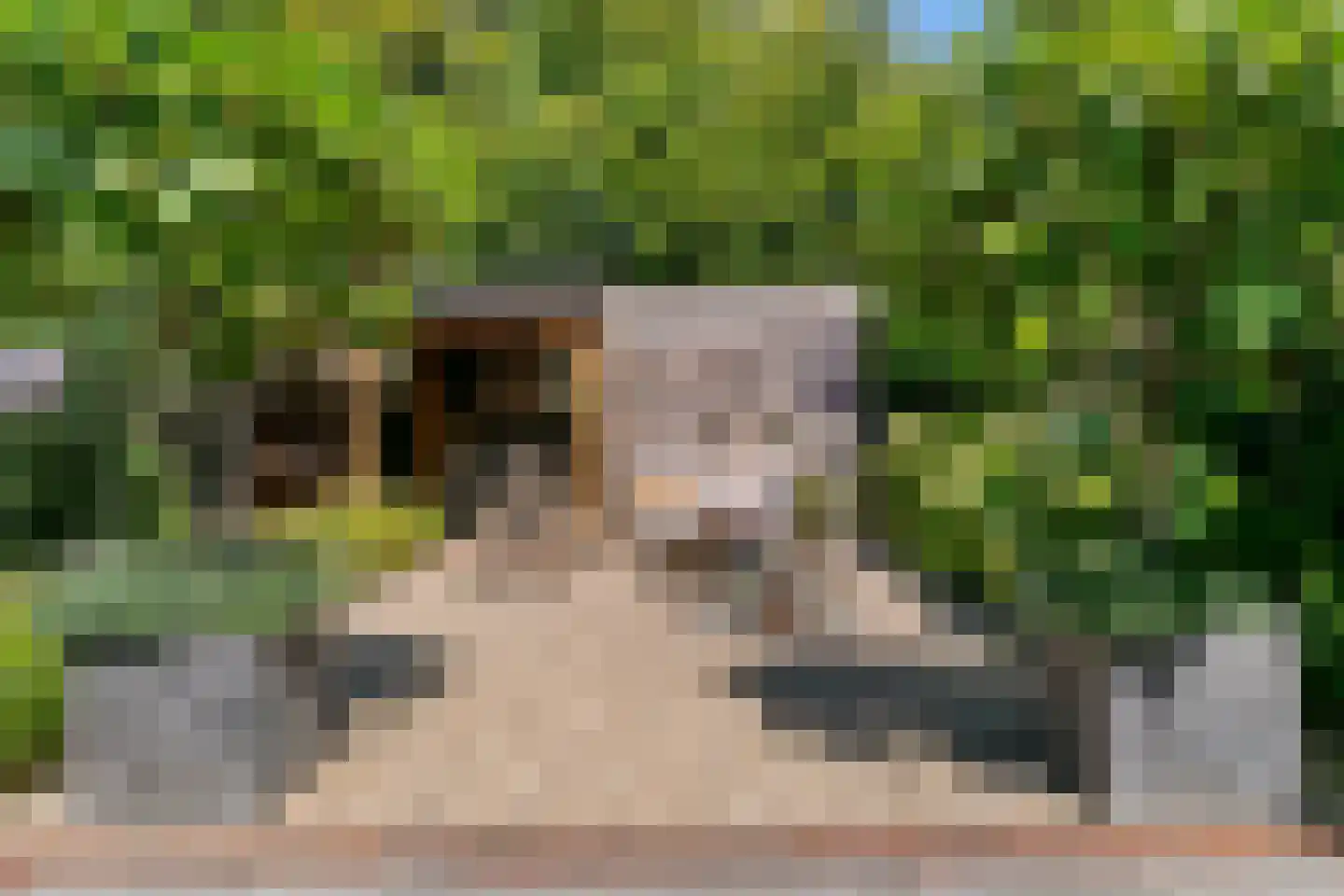 Rodenbachlaan 12 Uithoorn thumbnail 26