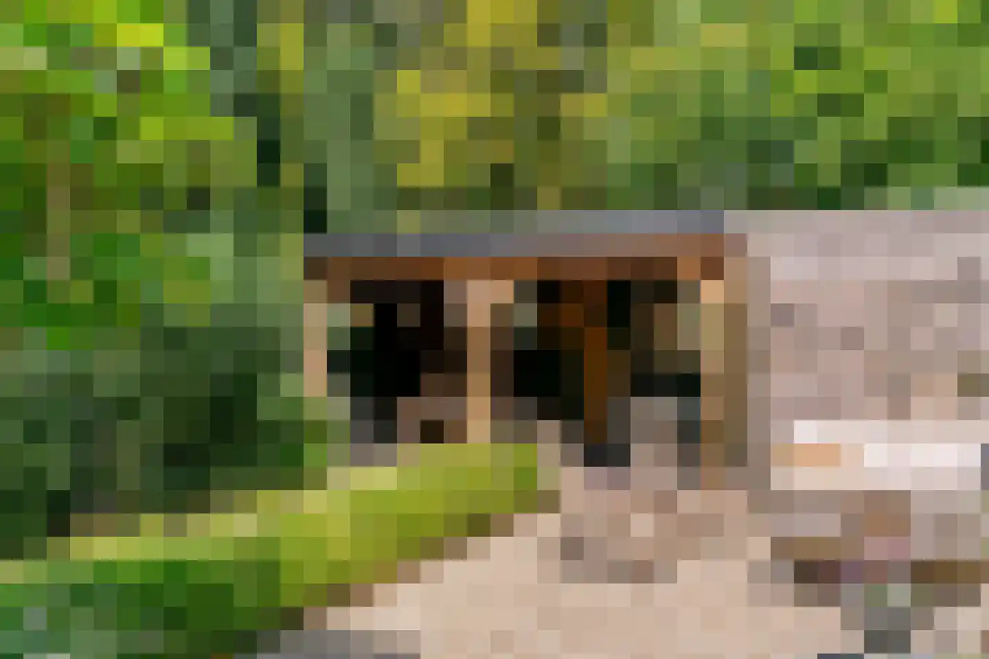 Rodenbachlaan 12 Uithoorn thumbnail 27