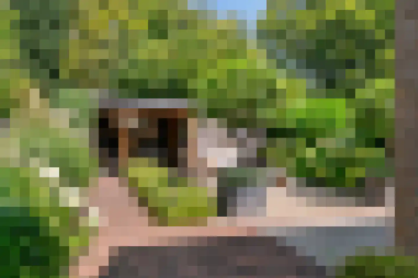 Rodenbachlaan 12 Uithoorn thumbnail 32