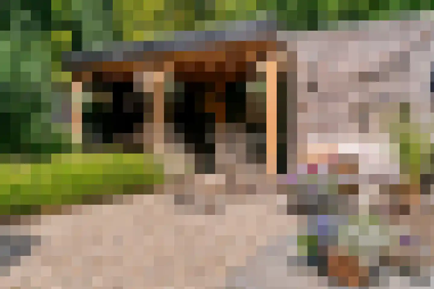 Rodenbachlaan 12 Uithoorn thumbnail 4