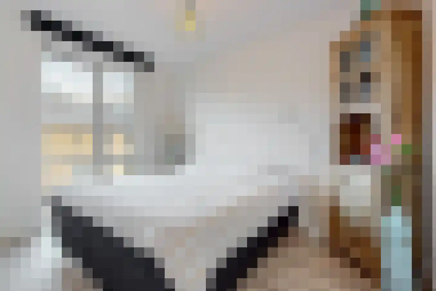 Rodenbachlaan 16 Uithoorn thumbnail 11