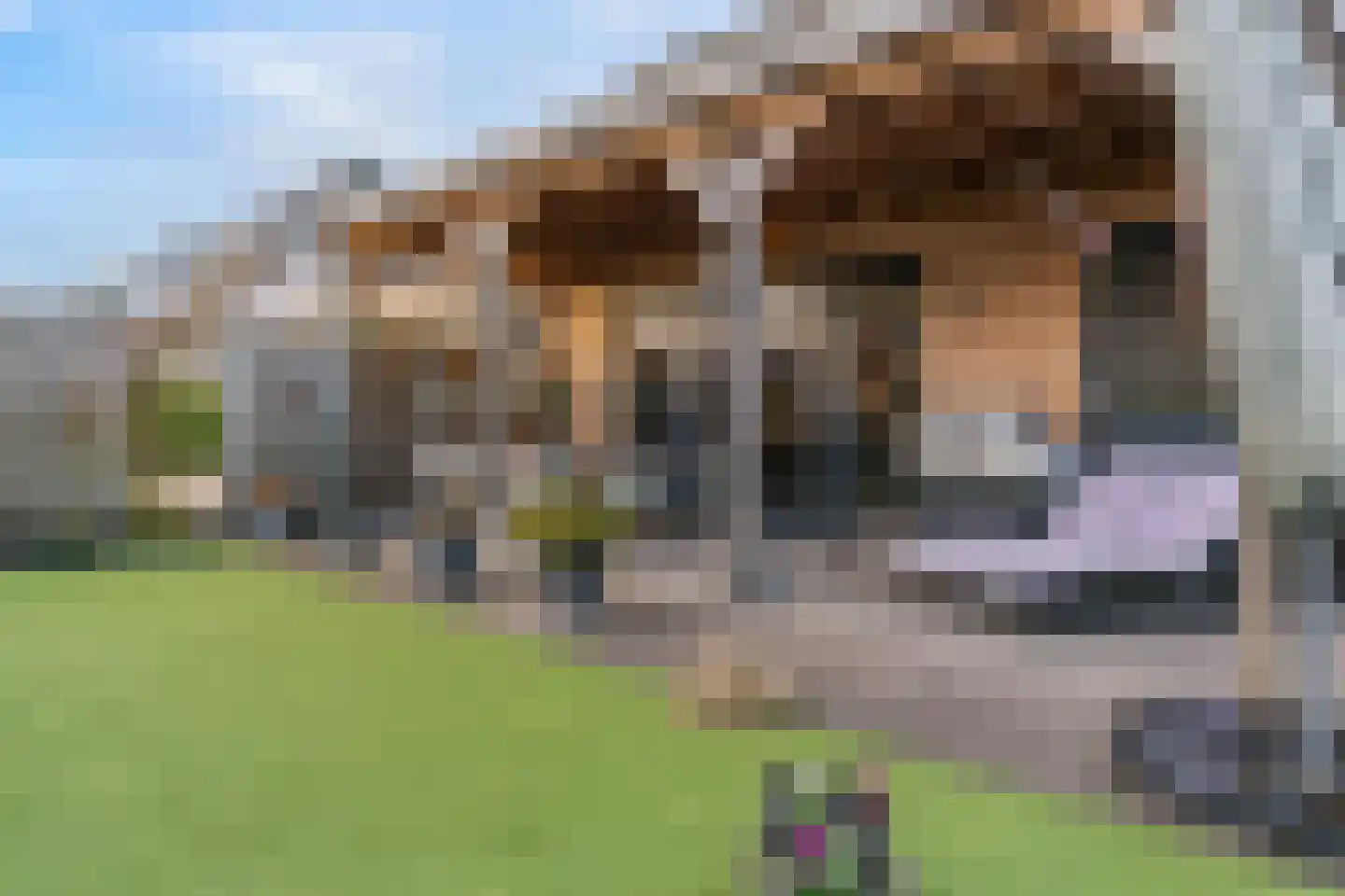 Rodenbachlaan 16 Uithoorn thumbnail 25