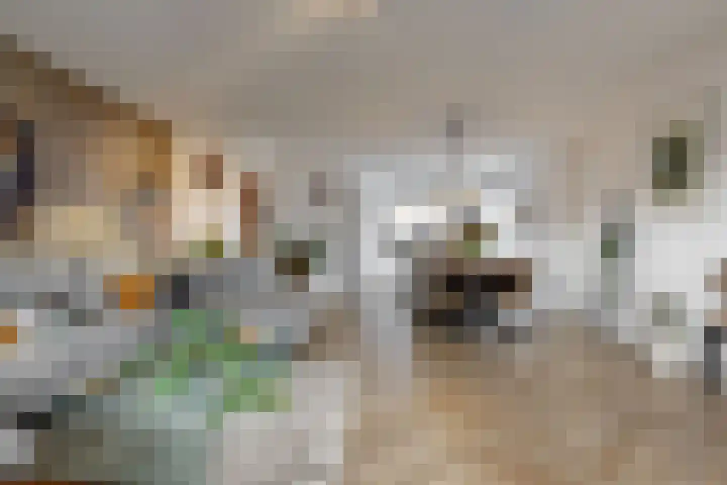 Rodenbachlaan 16 Uithoorn thumbnail 5
