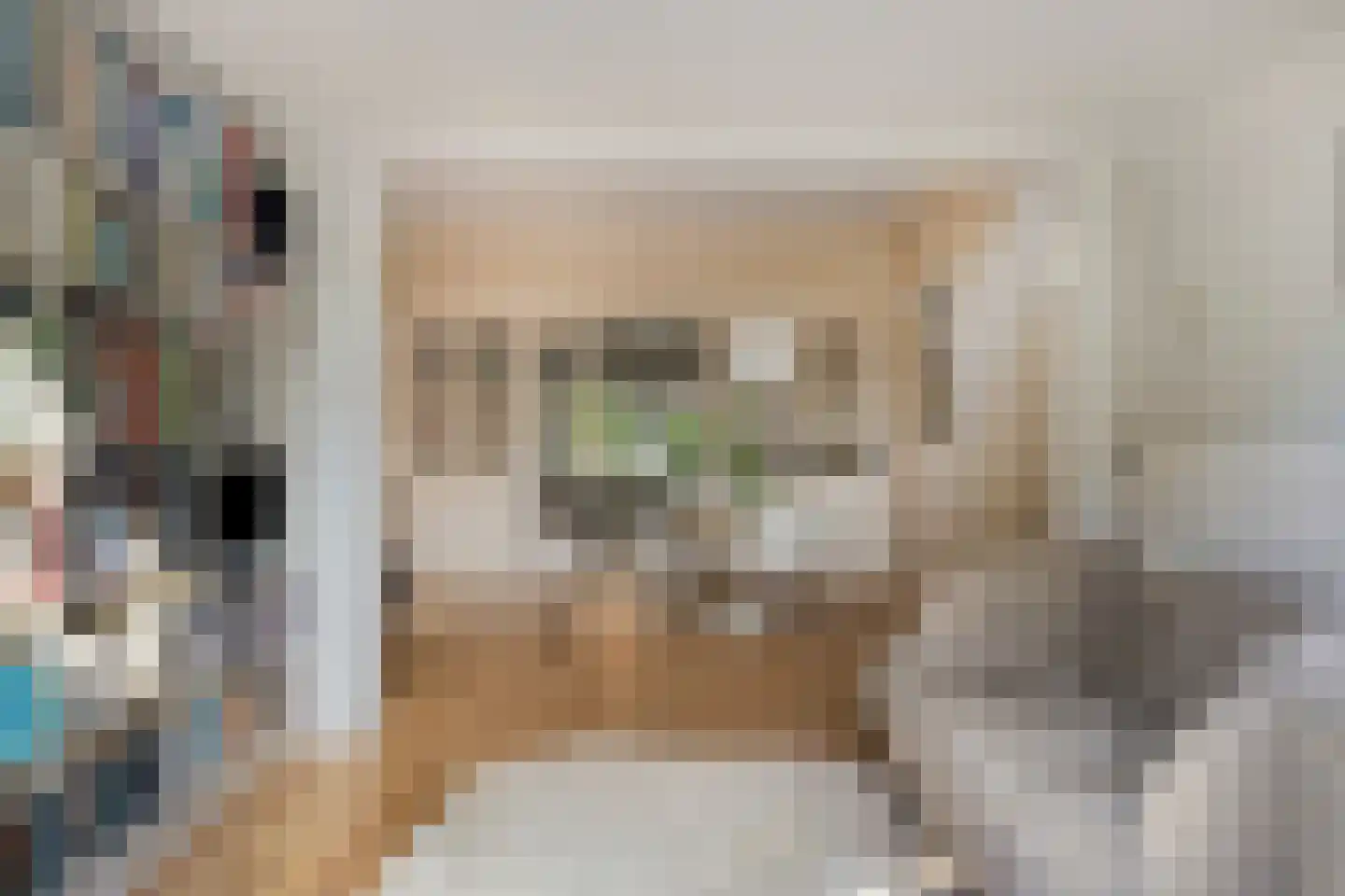Rodenbachlaan 17 Eindhoven thumbnail 18