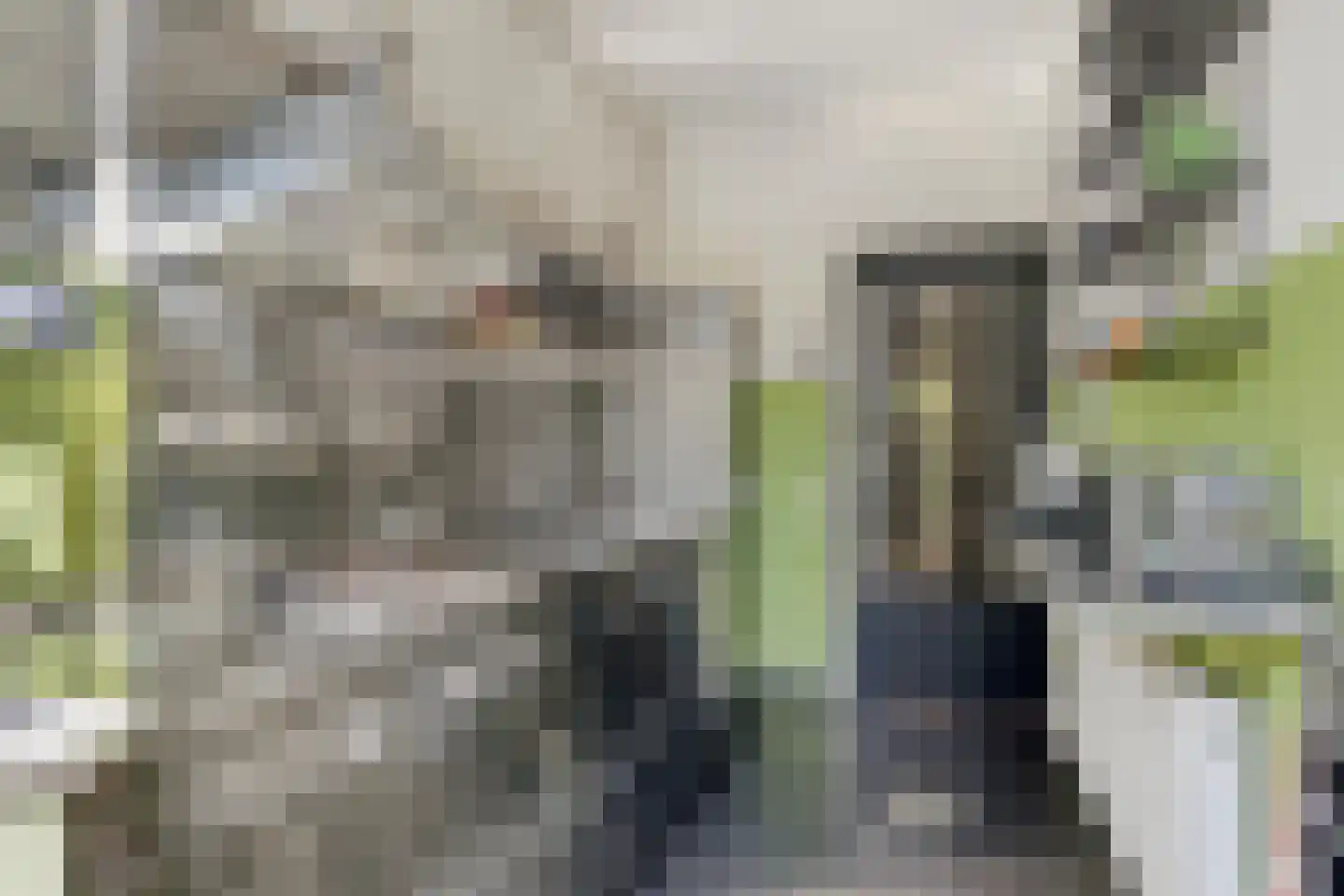 Rodenbachlaan 17 Eindhoven thumbnail 20