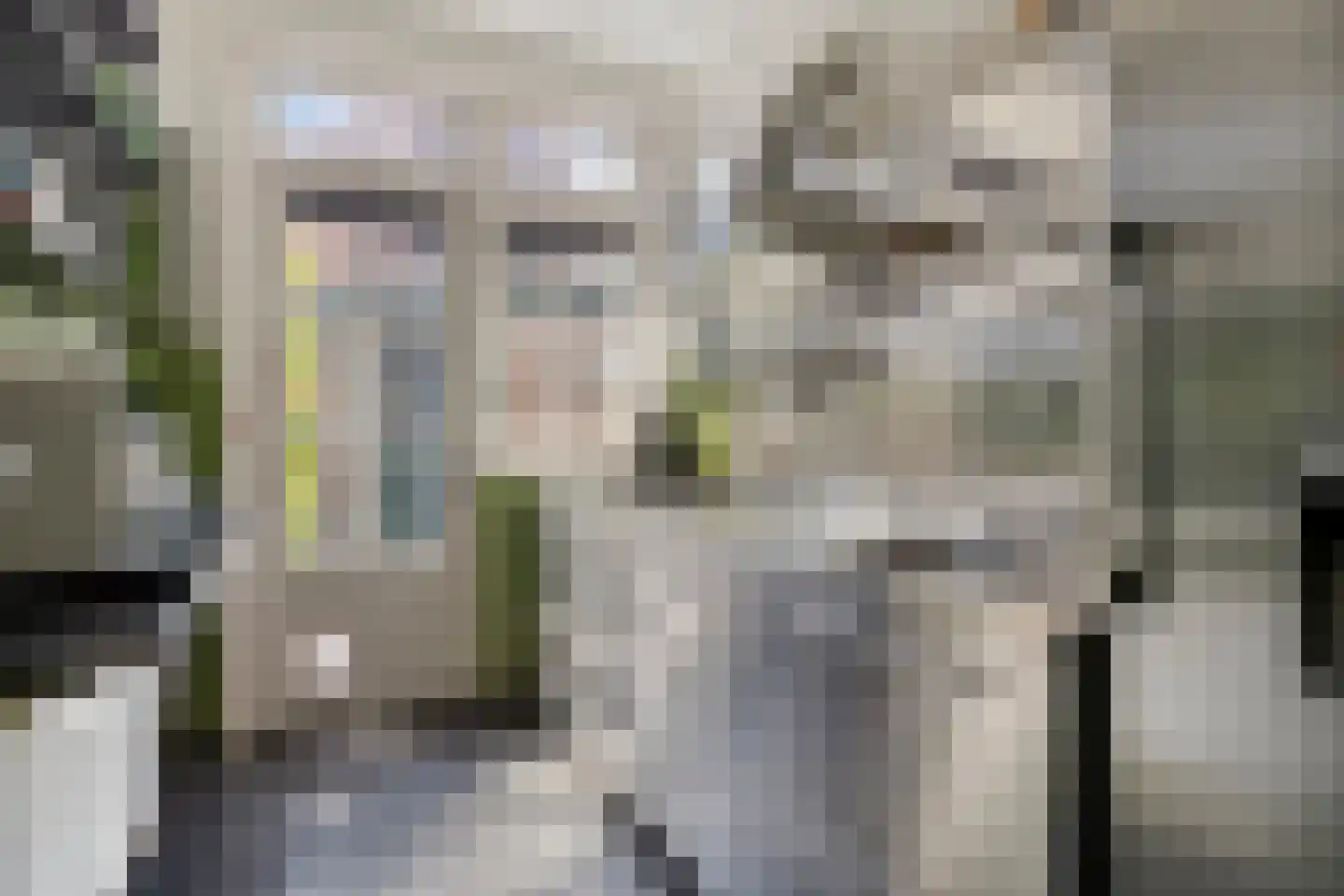 Rodenbachlaan 17 Eindhoven thumbnail 21