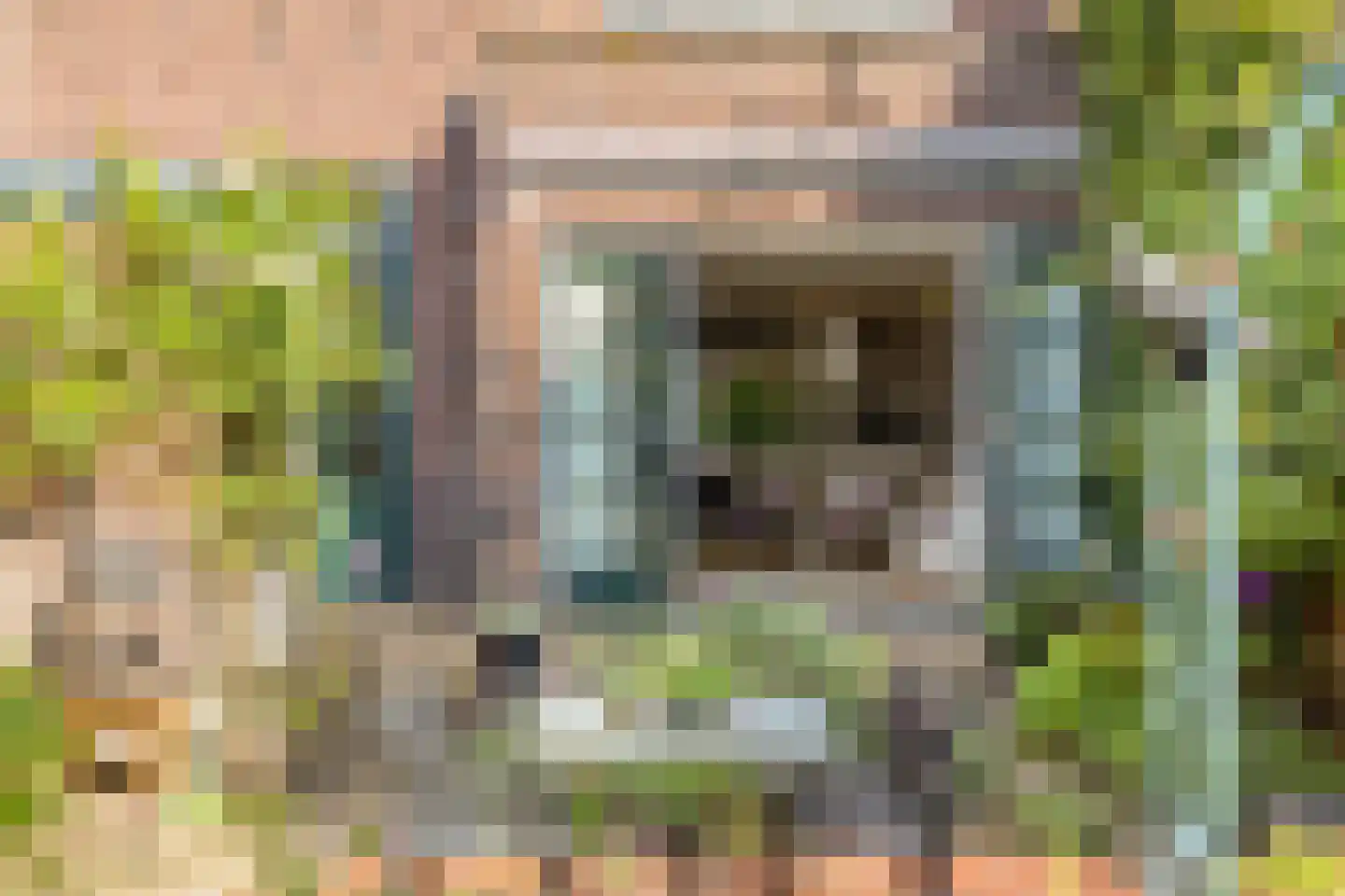 Rodenbachlaan 17 Eindhoven thumbnail 39