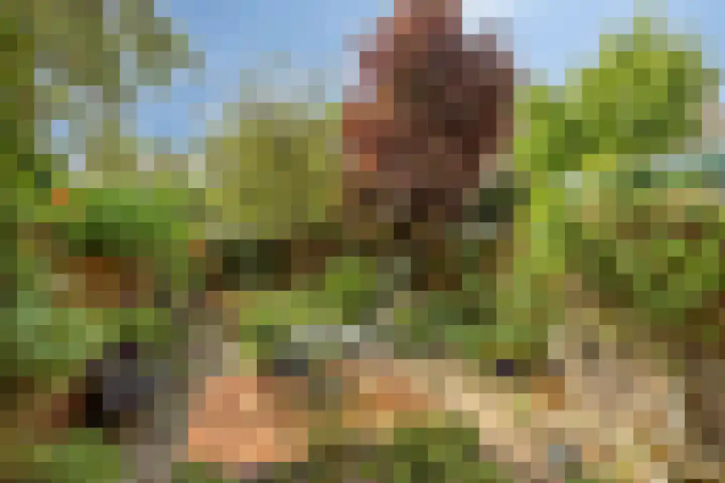 Rodenbachlaan 17 Eindhoven thumbnail 5