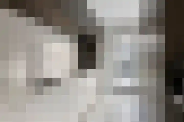 Rodenbachlaan 2 Roosendaal thumbnail 13