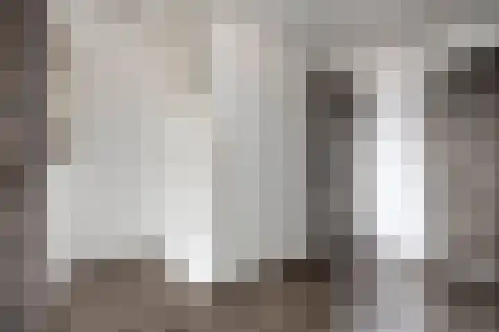 Rodenbachlaan 2 Roosendaal thumbnail 17