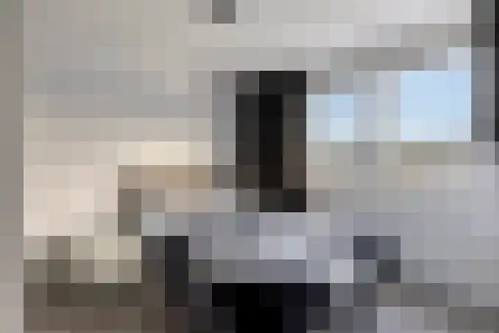 Rodenbachlaan 2 Roosendaal thumbnail 22