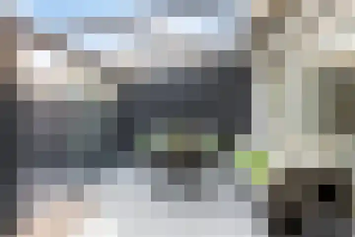 Rodenbachlaan 2 Roosendaal thumbnail 30