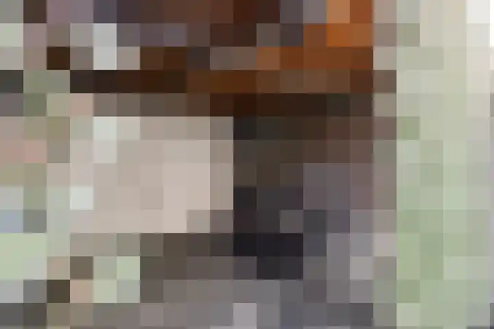 Rodenbachlaan 2 Roosendaal thumbnail 38