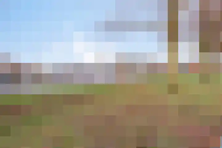 Rodenbachlaan 2 Roosendaal thumbnail 44