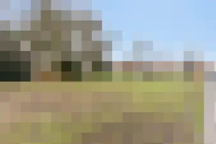 Rodenbachlaan 2 Roosendaal thumbnail 45
