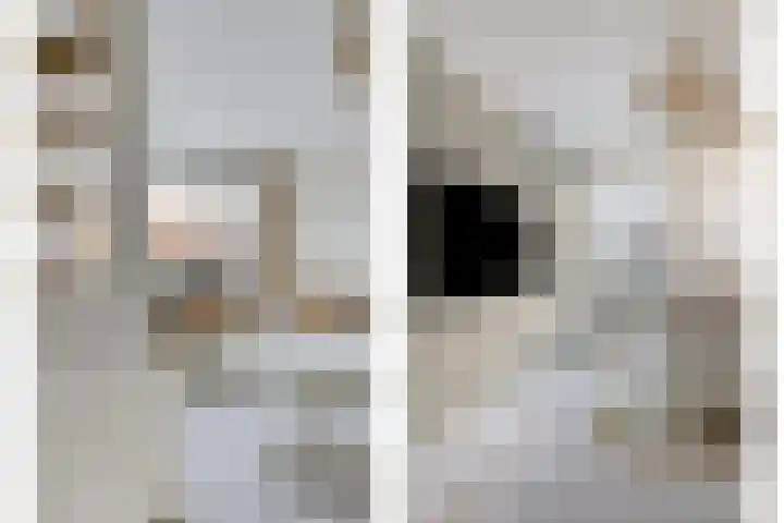 Rodenbachlaan 2 Roosendaal thumbnail 6