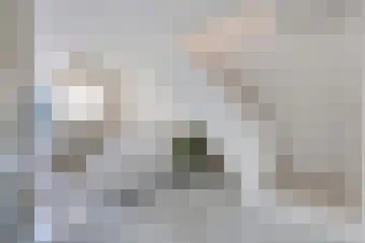 Rodenbachlaan 2 Roosendaal thumbnail 7