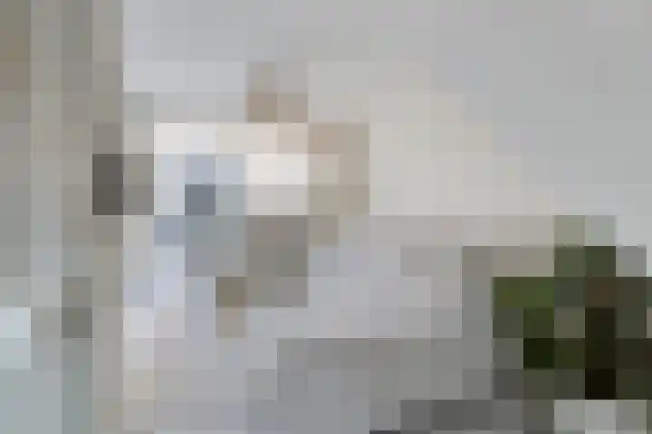 Rodenbachlaan 2 Roosendaal thumbnail 8