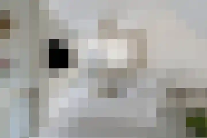 Rodenbachlaan 2 Roosendaal thumbnail 9