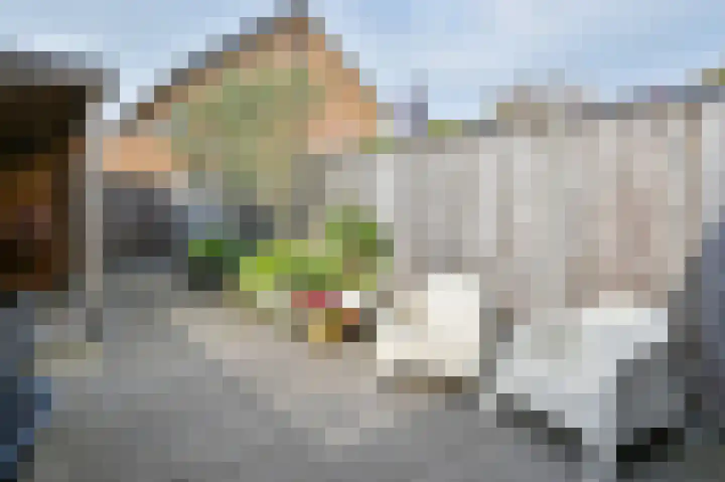 Rodenbachlaan 22 Uithoorn thumbnail 31