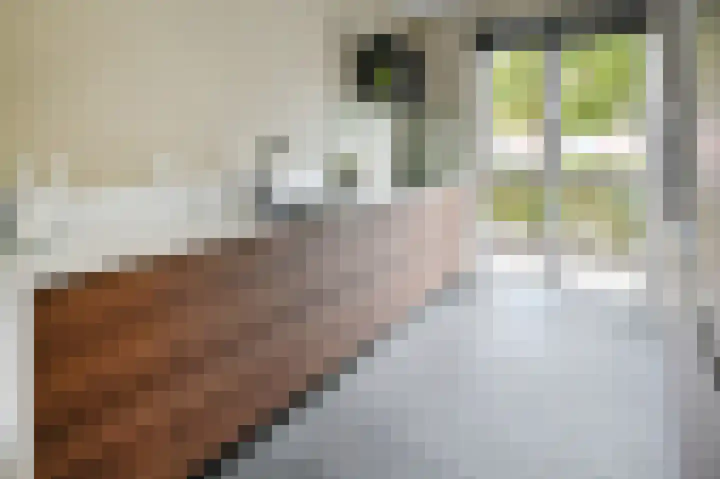 Rodenbachlaan 22 Uithoorn thumbnail 5