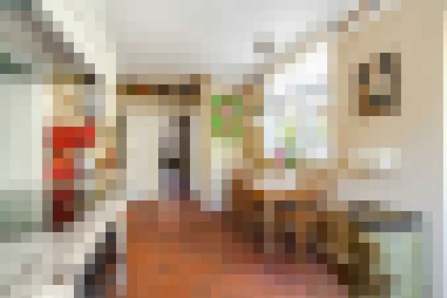 Rodenbachlaan 3 Eindhoven thumbnail 19