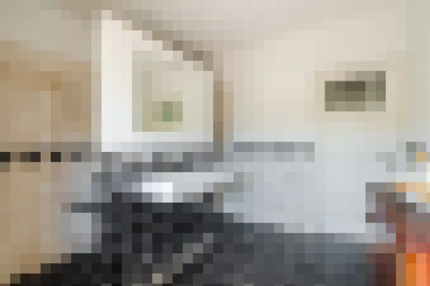 Rodenbachlaan 3 Eindhoven thumbnail 28