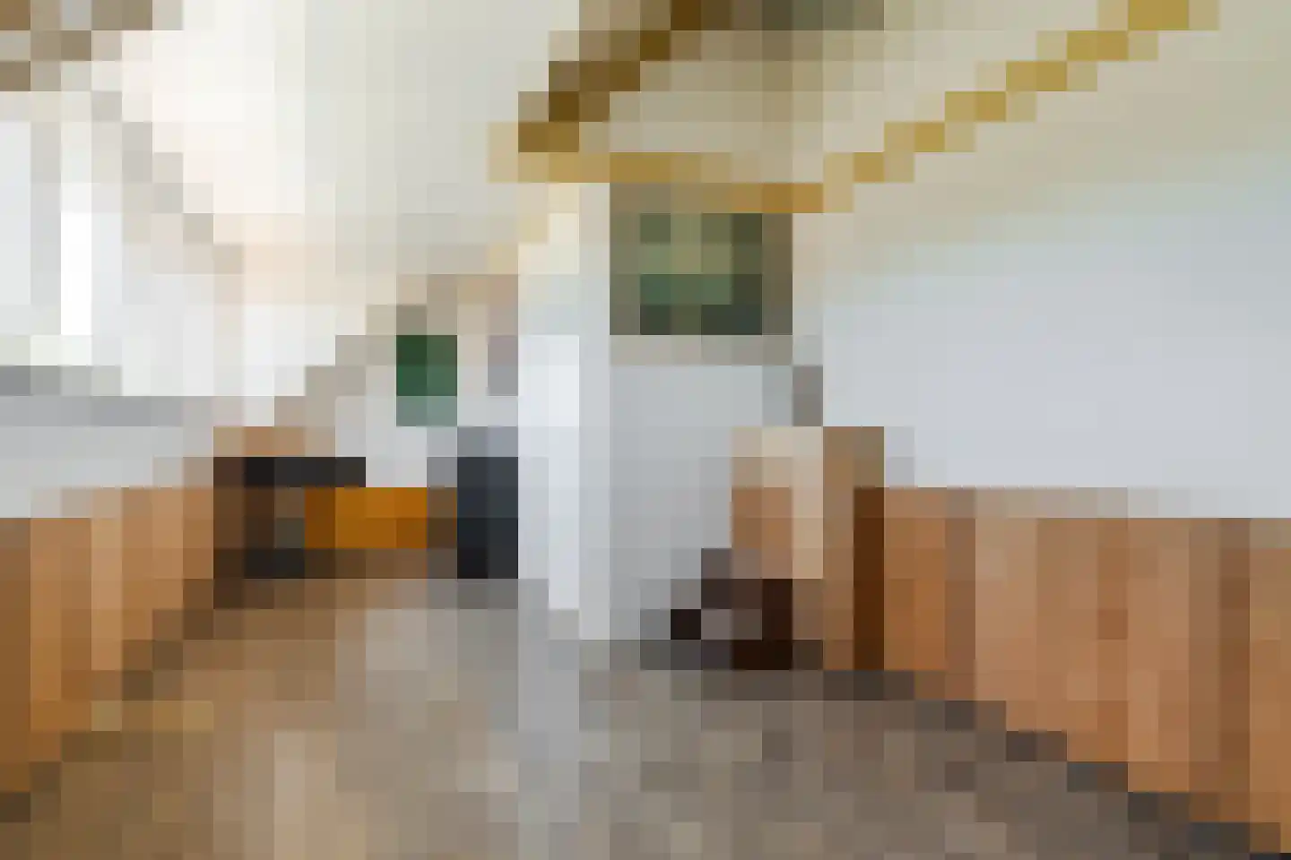 Rodenbachlaan 3 Eindhoven thumbnail 33