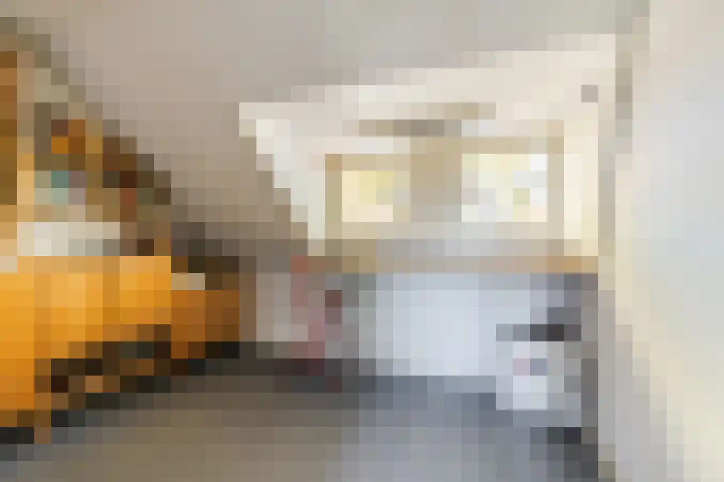 Rodenbachlaan 3 Eindhoven thumbnail 38