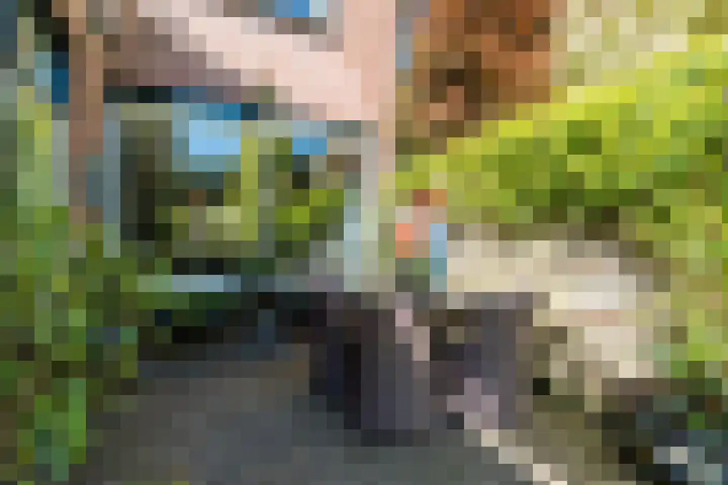Rodenbachlaan 3 Eindhoven thumbnail 46