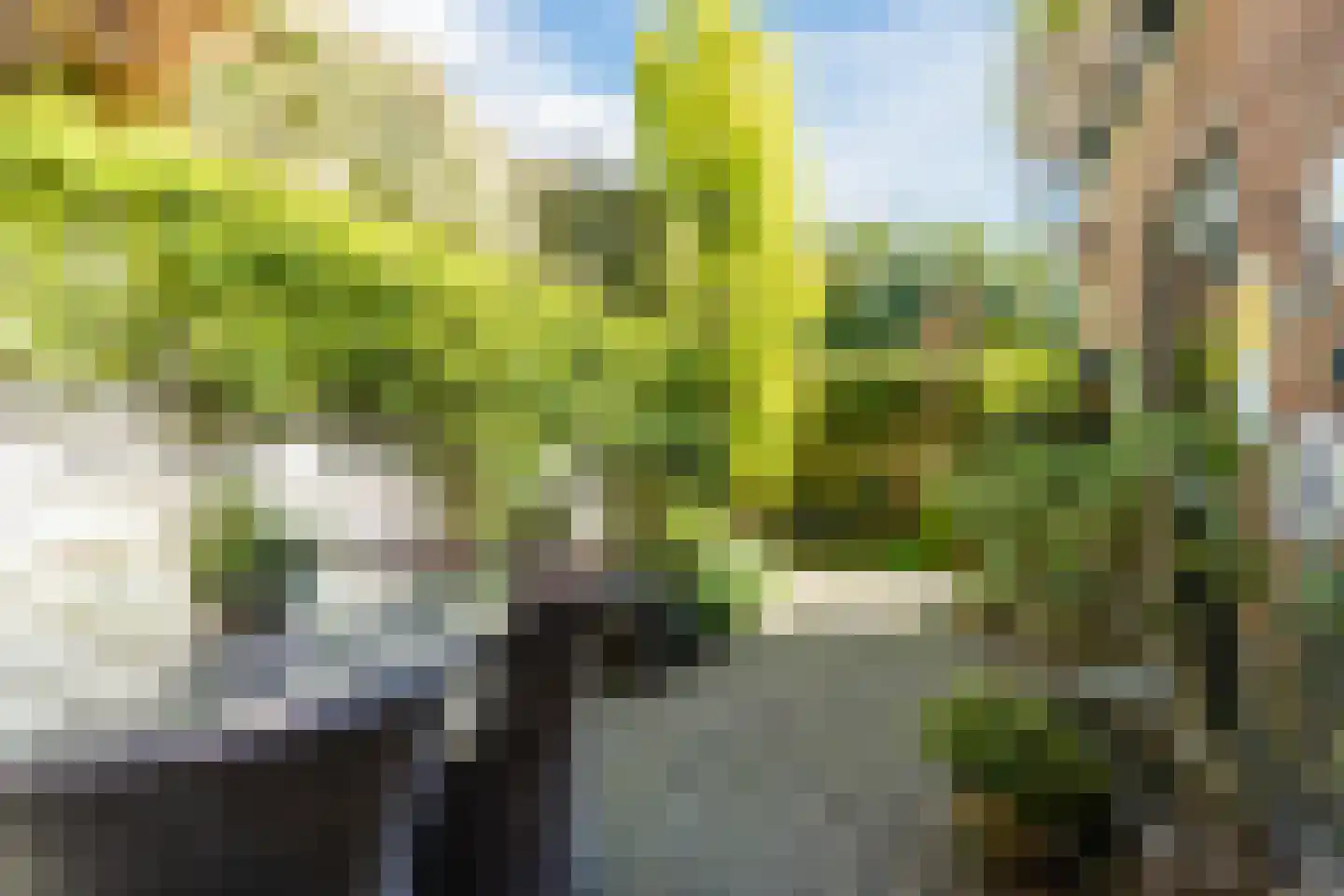 Rodenbachlaan 3 Eindhoven thumbnail 47