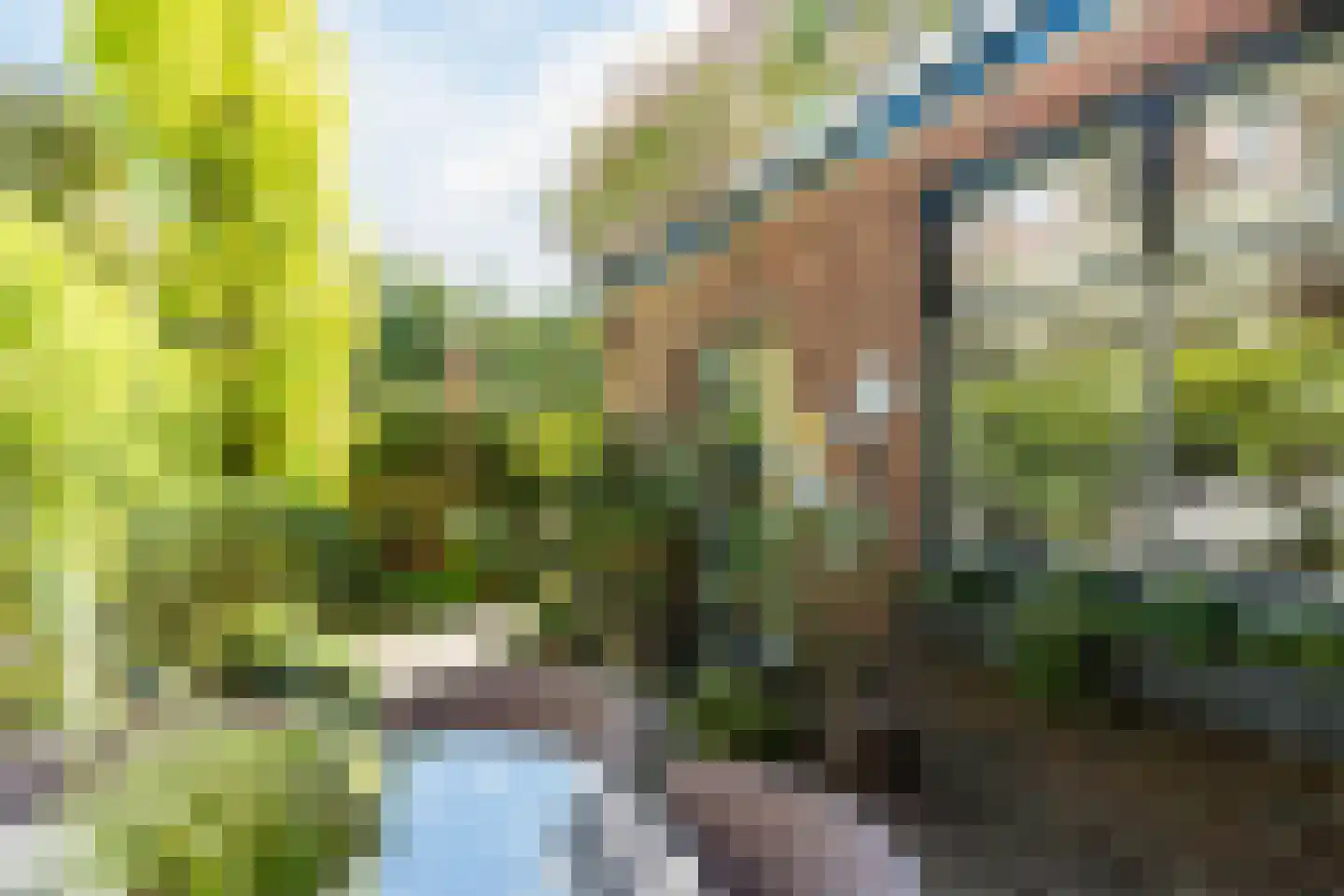 Rodenbachlaan 3 Eindhoven thumbnail 48