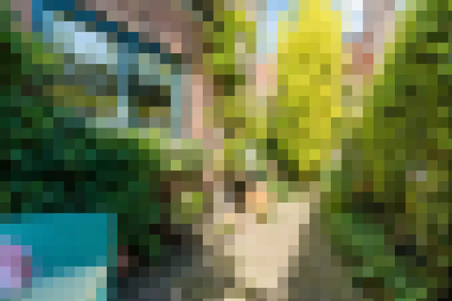 Rodenbachlaan 3 Eindhoven thumbnail 50