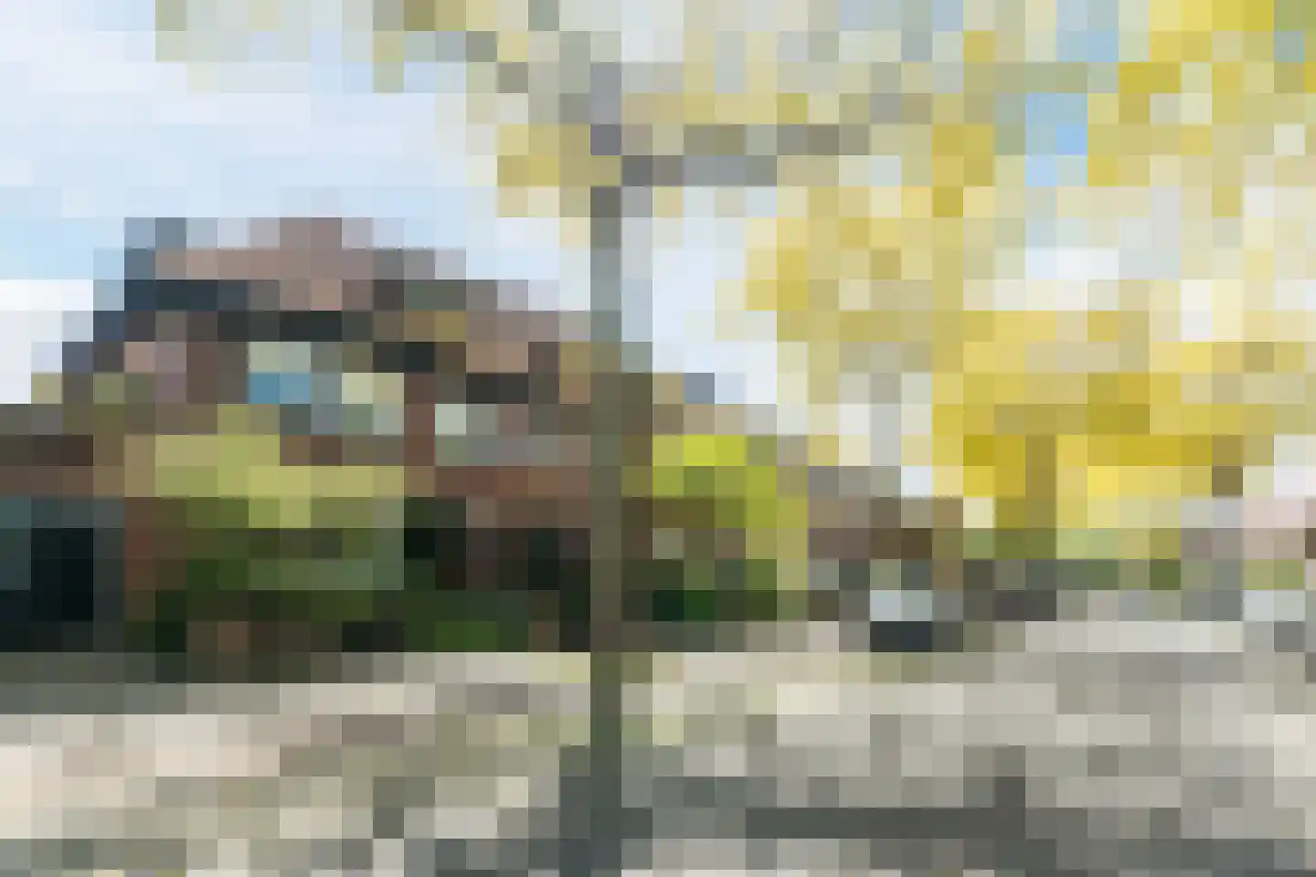 Rodenbachlaan 3 Eindhoven thumbnail 53