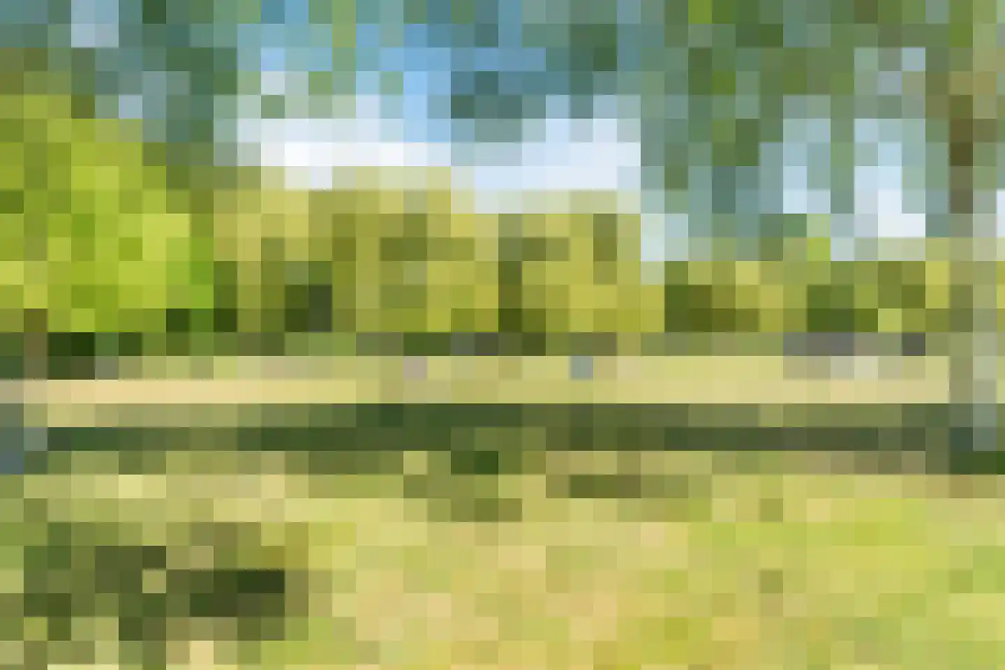 Rodenbachlaan 3 Eindhoven thumbnail 54