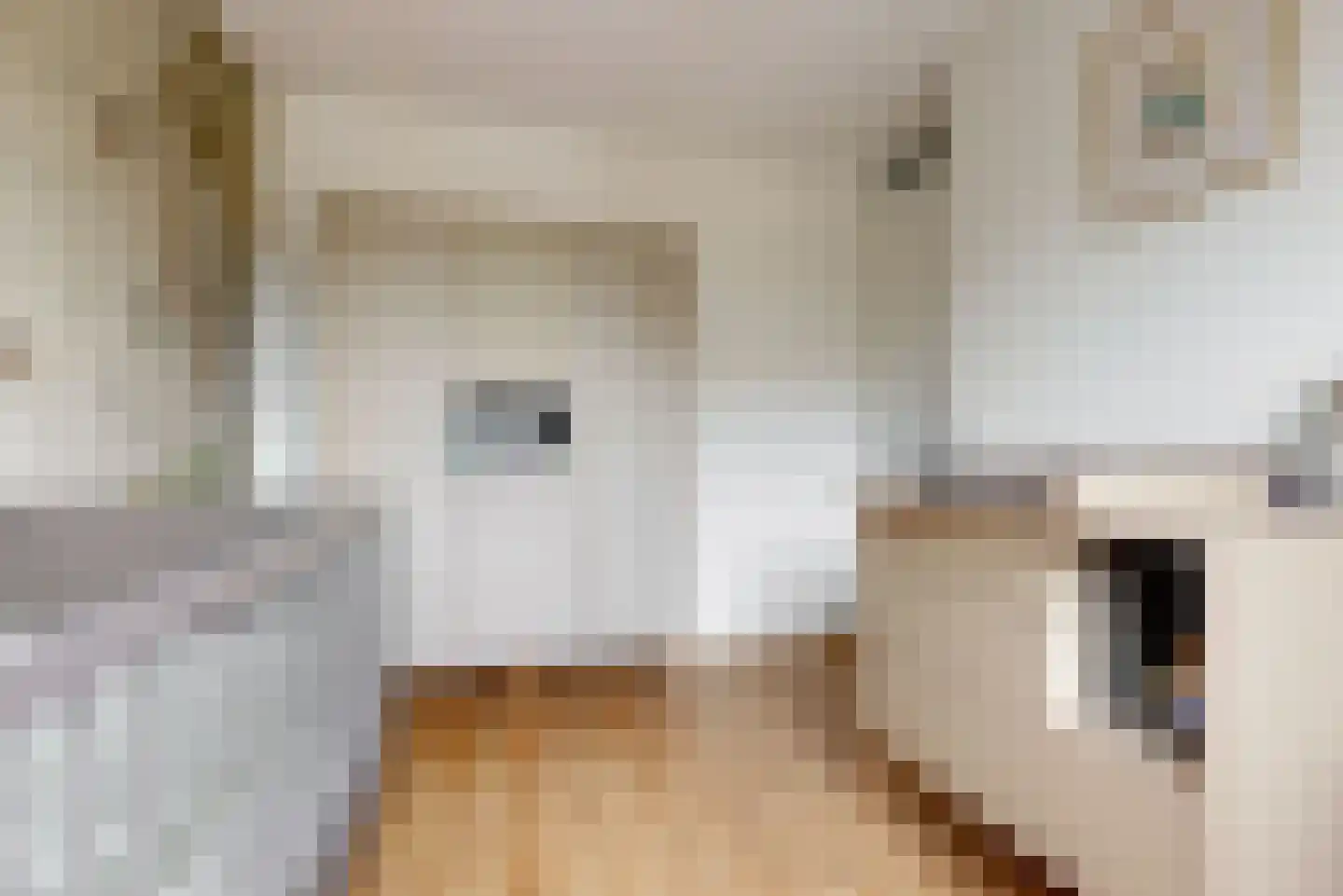 Rodenbachlaan 8 Uithoorn thumbnail 12